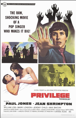 Privilege poster