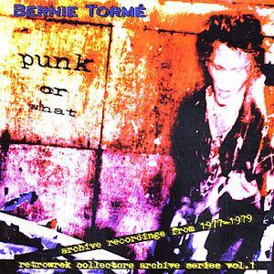 Bernie Torme Punk or What