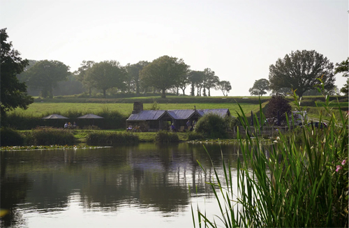 Lakedown Taproom across the lake